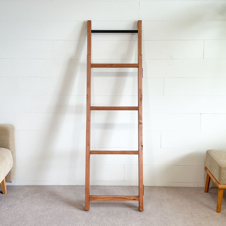 ladder01
